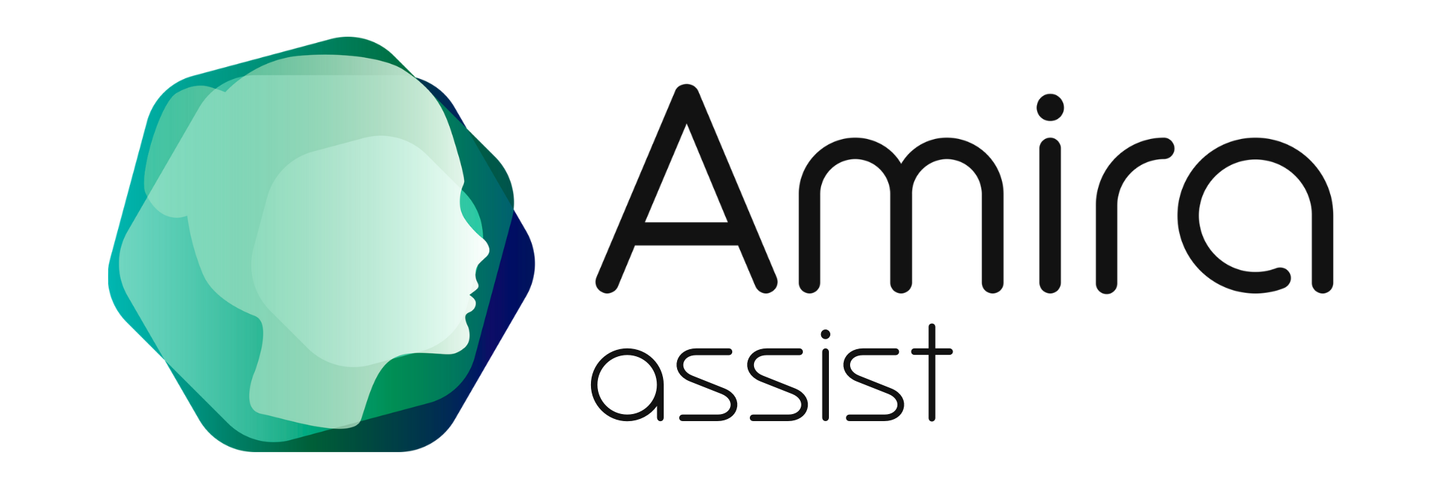 Amira.assist